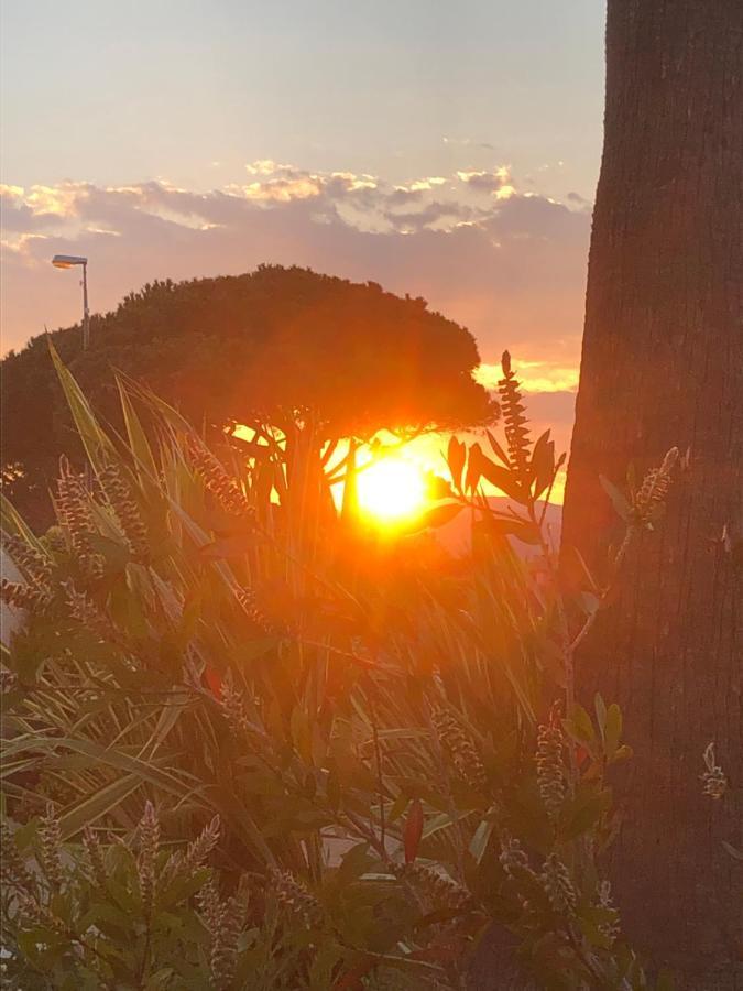 Petit Cocon Magnifique Vue Sur Marina Dans Le Golfe De Saint Tropez Cogolin Exterior foto